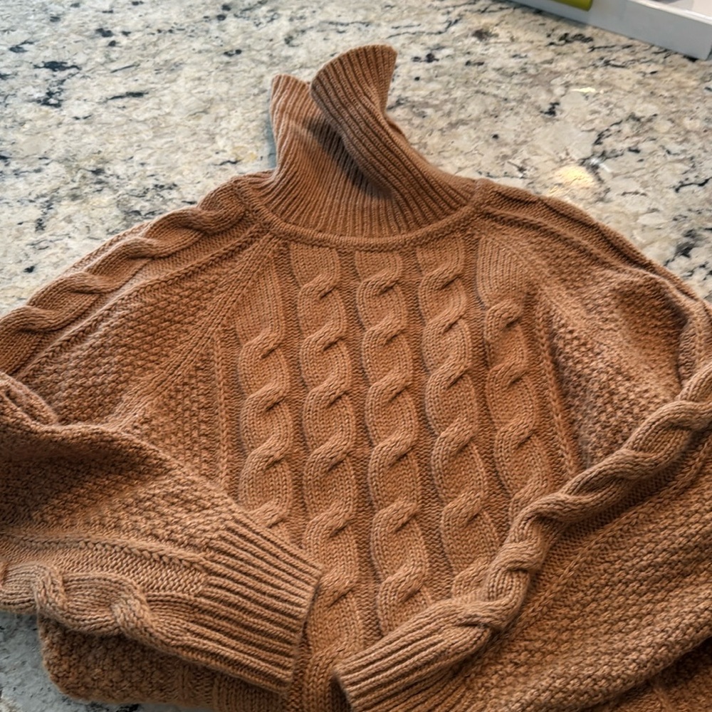 Gap Turtleneck Sweater